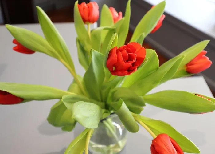 Hotel Colbert Saint-Jean-de-Luz